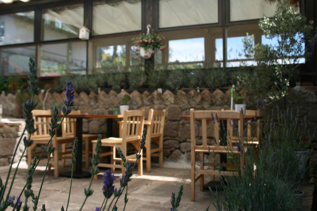 Assos Bohemian Hotel Bagian luar foto